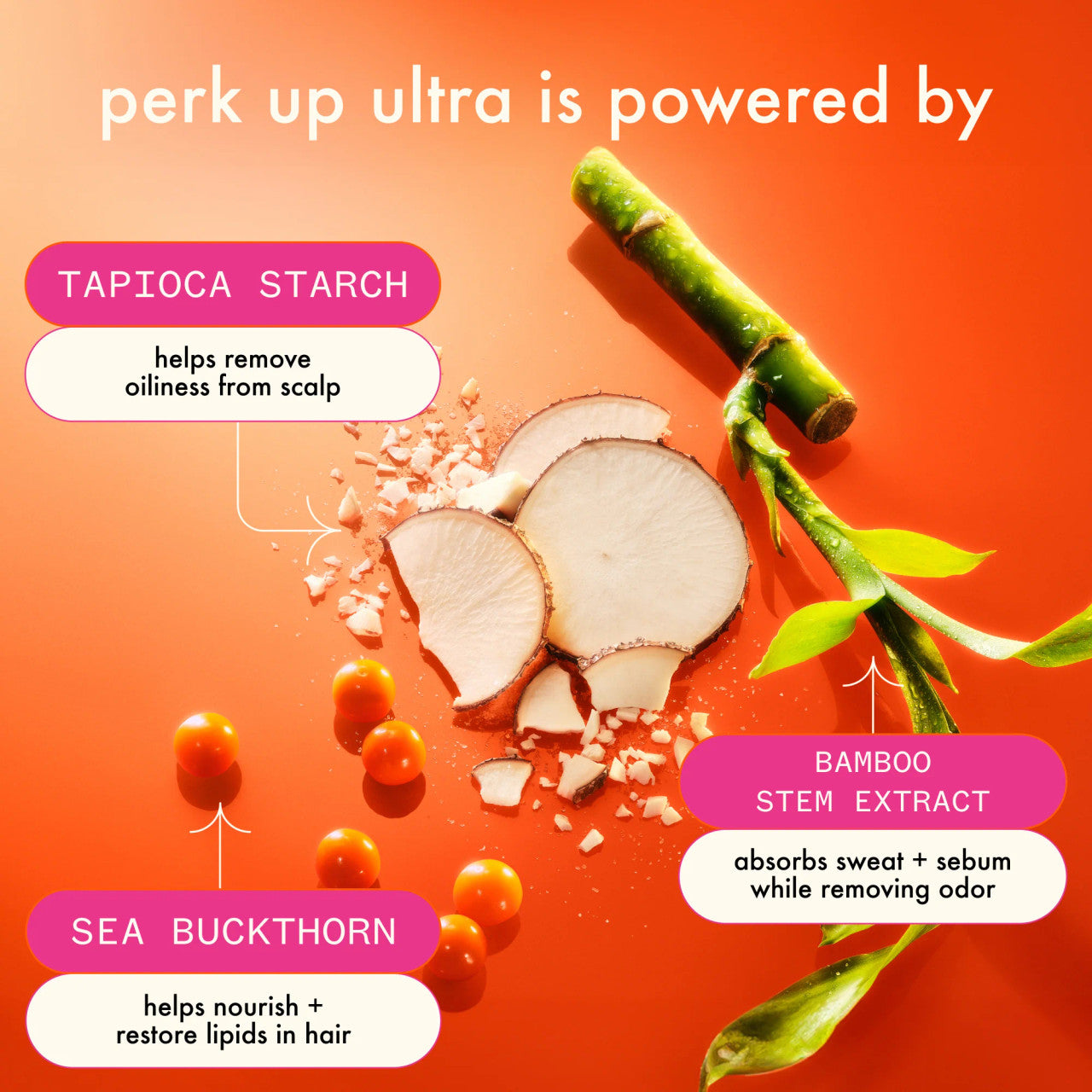 Amika Perk Up Oil Control Dry Shampoo 250ml