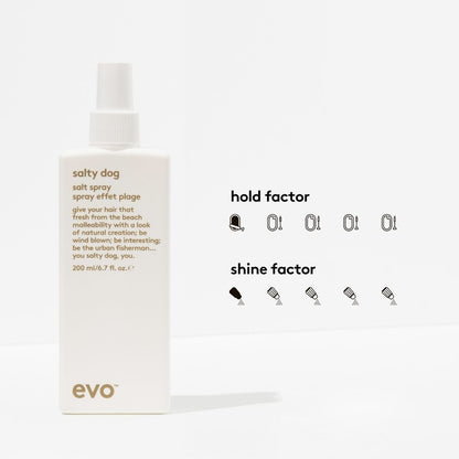 Evo Salty Dog Salt Spray